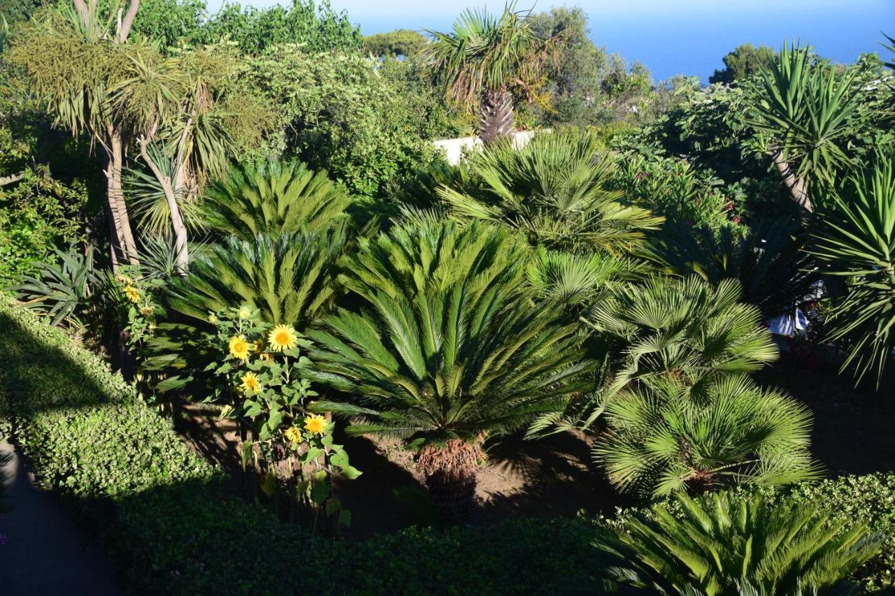Oasi Di Villa Damecuta Anacapri  Exterior foto